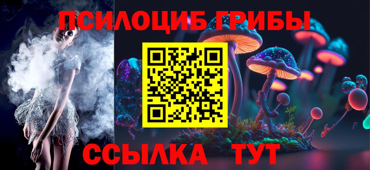 Галлюциногенные грибы Cubensis Лосино-Петровский